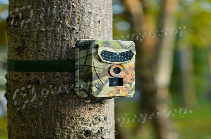 camera de surveillance de chasse